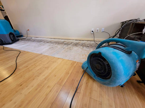 Professional Burst Pipe Water Damage technician working in Boring, OR